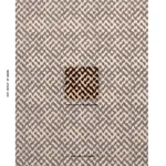 SERENISSIMO VELVET fabric TOFFEE color by Schumacher