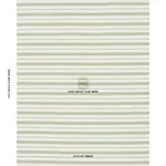 SERRA MESA INDOOR/OUTDOOR STRIPE fabric VERDE color by Schumacher