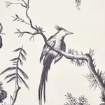 SHENGYOU TOILE fabric BLACK color by Schumacher