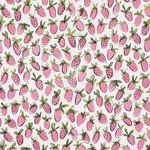 SHORTCAKE INDOOR/OUTDOOR fabric PINK color by Schumacher