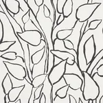 SOLANDRA VINE fabric BLACK color by Schumacher