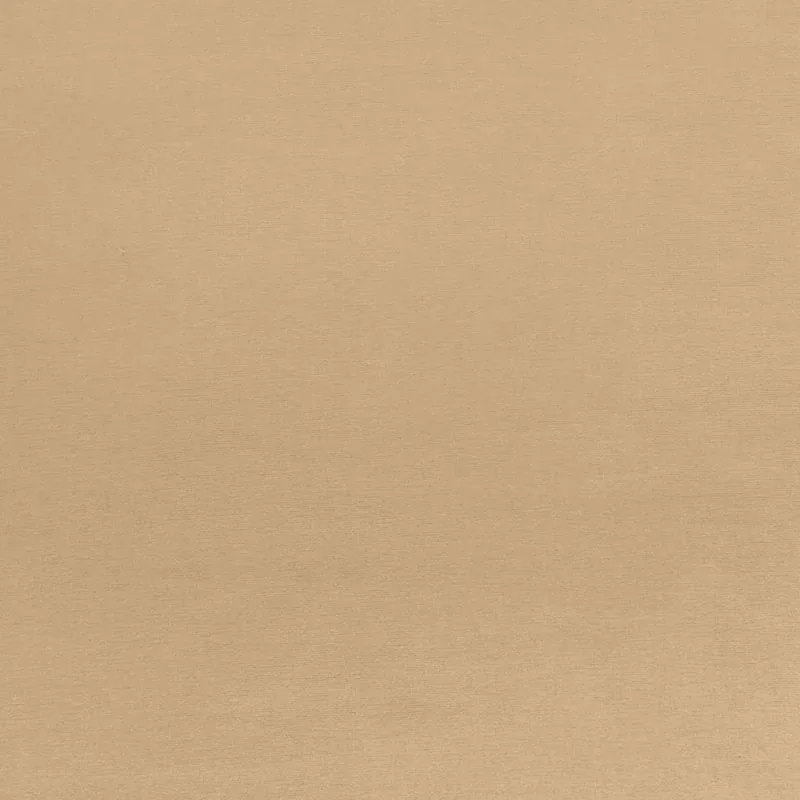 68136 | SOPHIA VELVET – BISCUIT
