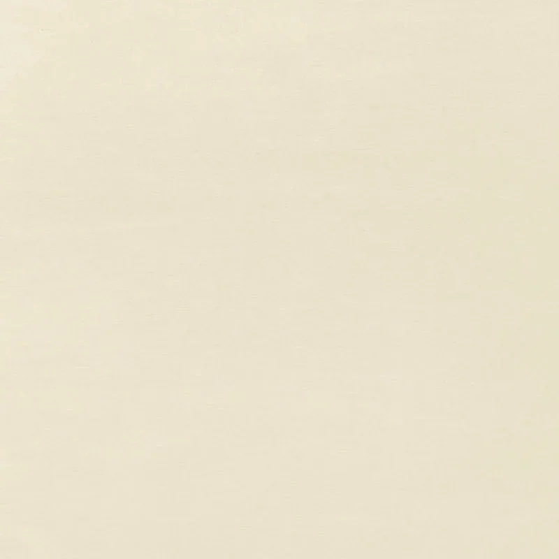 68111 | SOPHIA VELVET – CHAMPAGNE