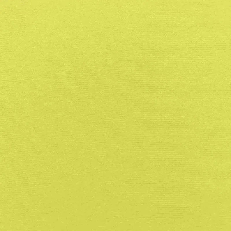 68128 | SOPHIA VELVET – LIME