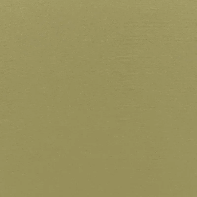 SOPHIA VELVET fabric OLIVINE color by Schumacher
