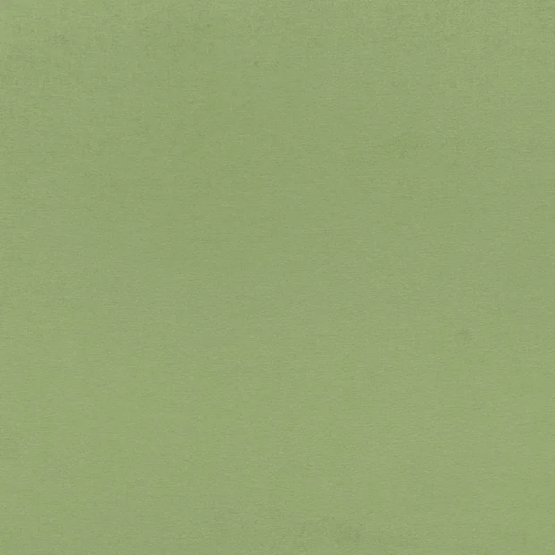 SOPHIA VELVET fabric WILLOW color by Schumacher