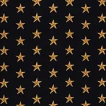 STAR ÉPINGLÉ fabric BLACK color by Schumacher