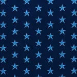 STAR ÉPINGLÉ Fabric – BLUE | Schumacher | Wallpaper Twins STAR ÉPINGLÉ fabric BLUE color by Schumacher