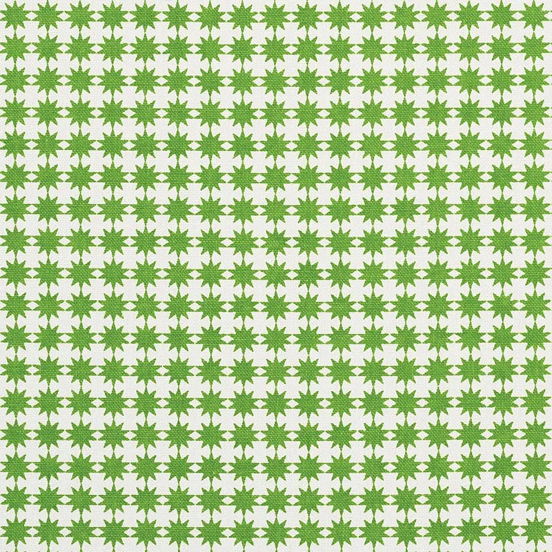 STELLA fabric GREEN color by Schumacher
