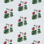 STRAWBERRY HILL fabric SKY color by Schumacher