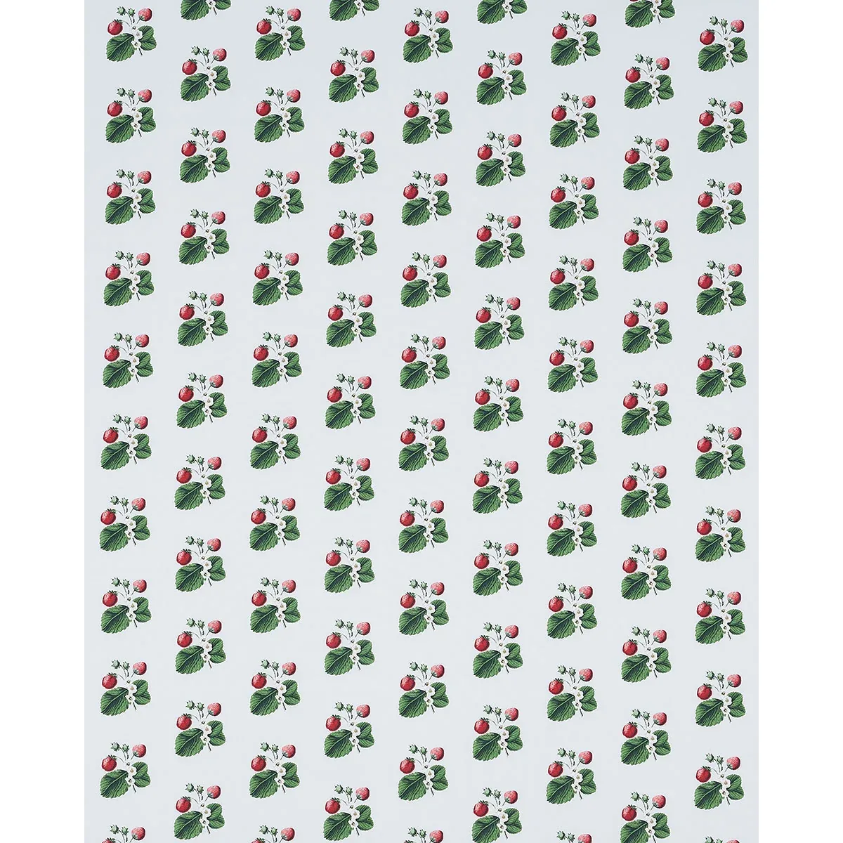 STRAWBERRY HILL fabric SKY color by Schumacher
