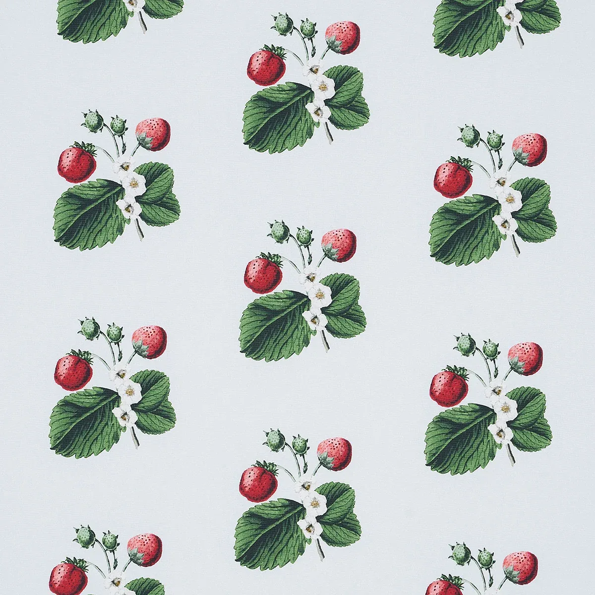 STRAWBERRY HILL fabric SKY color by Schumacher