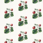 STRAWBERRY HILL fabric WHITE color by Schumacher