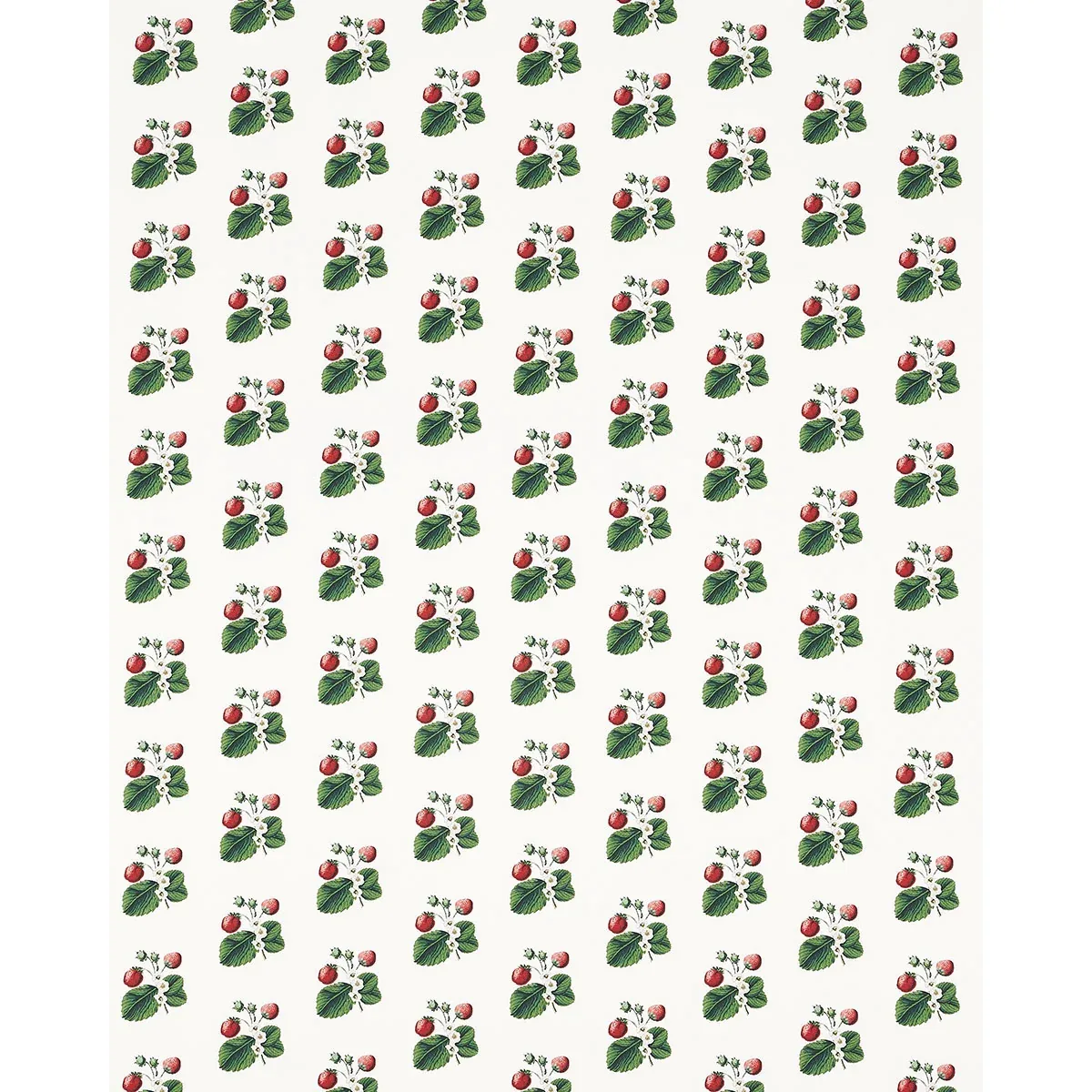 STRAWBERRY HILL fabric WHITE color by Schumacher