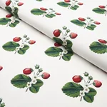 STRAWBERRY HILL fabric WHITE color by Schumacher