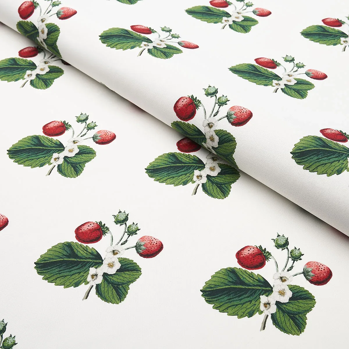 STRAWBERRY HILL fabric WHITE color by Schumacher