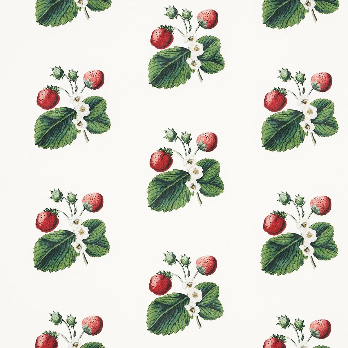 180640 | STRAWBERRY HILL – WHITE