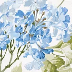 SUMMER HYDRANGEA fabric BLUE HYDRANGEA color by Schumacher
