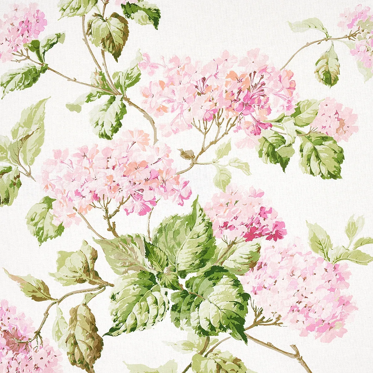 180821 | SUMMER HYDRANGEA – BLUSH
