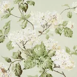 SUMMER HYDRANGEA Fabric – CELADON | Schumacher | Wallpaper T SUMMER HYDRANGEA fabric CELADON color by Schumacher