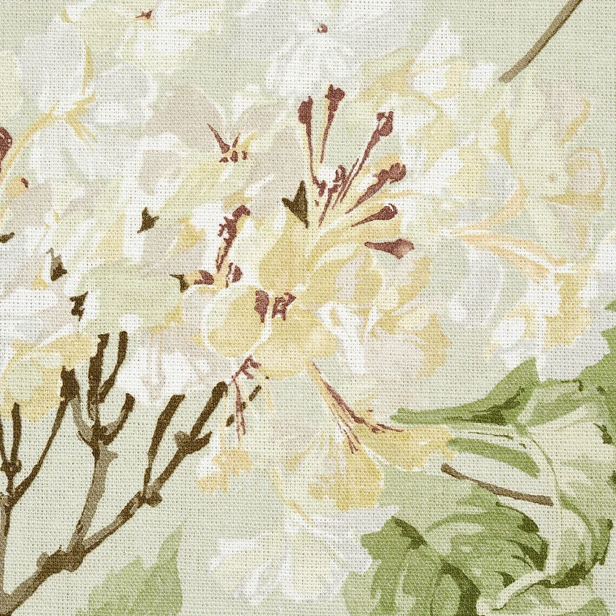 SUMMER HYDRANGEA Fabric – CELADON | Schumacher | Wallpaper T SUMMER HYDRANGEA fabric CELADON color by Schumacher