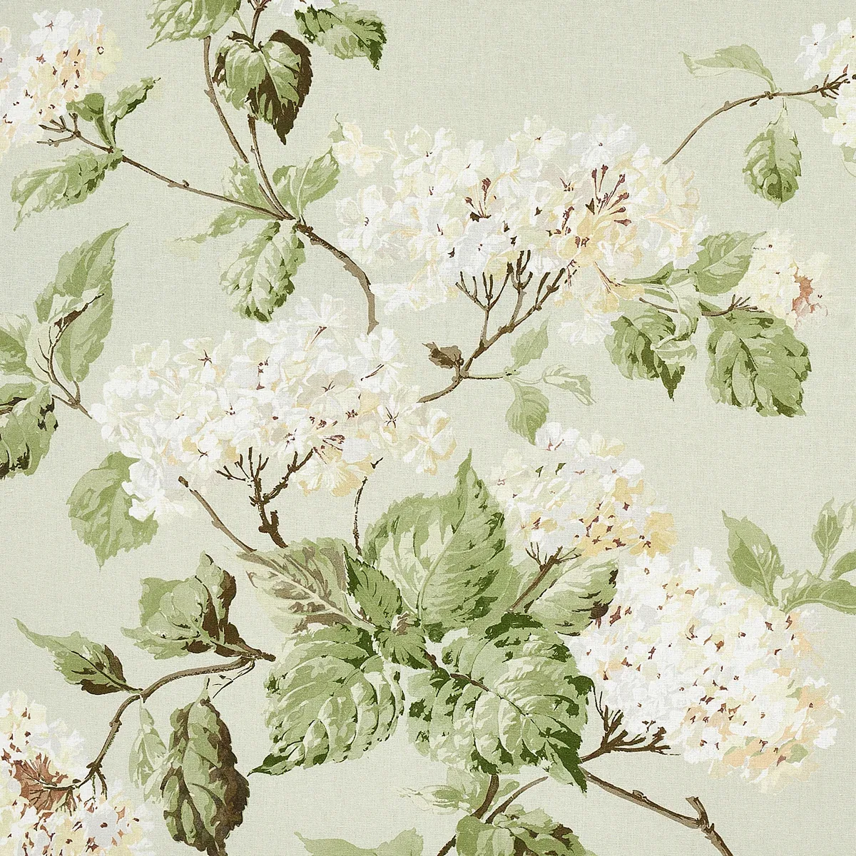 180820 | SUMMER HYDRANGEA – CELADON