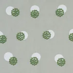 TAYLOR EMBROIDERY fabric GREEN color by Schumacher