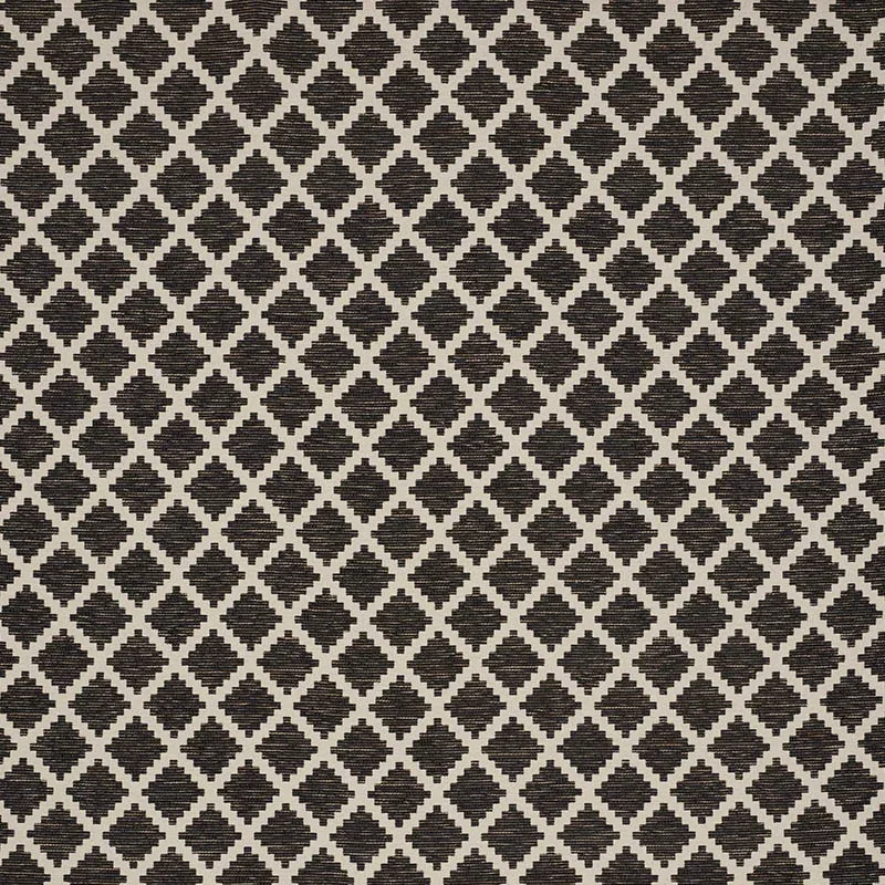 TIBUR fabric BLACK color by Schumacher