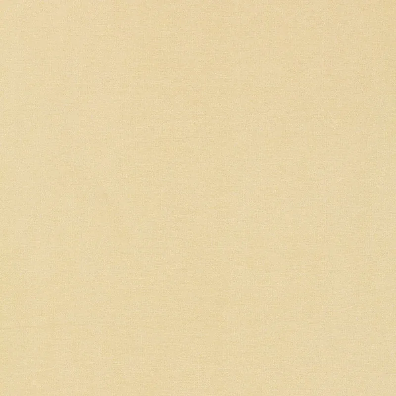 TIEPOLO SHANTUNG WEAVE fabric BONE color by Schumacher