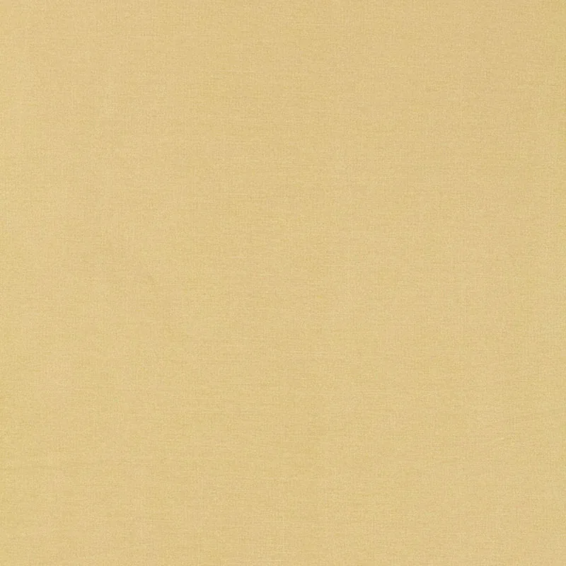 63843 | TIEPOLO SHANTUNG WEAVE – CHAMPAGNE