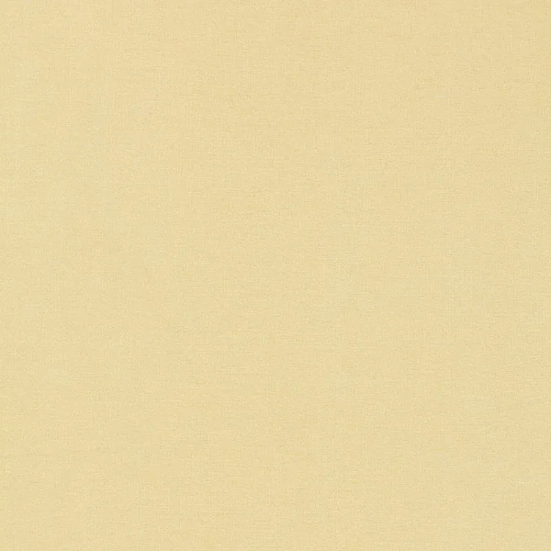 63842 | TIEPOLO SHANTUNG WEAVE – IVORY