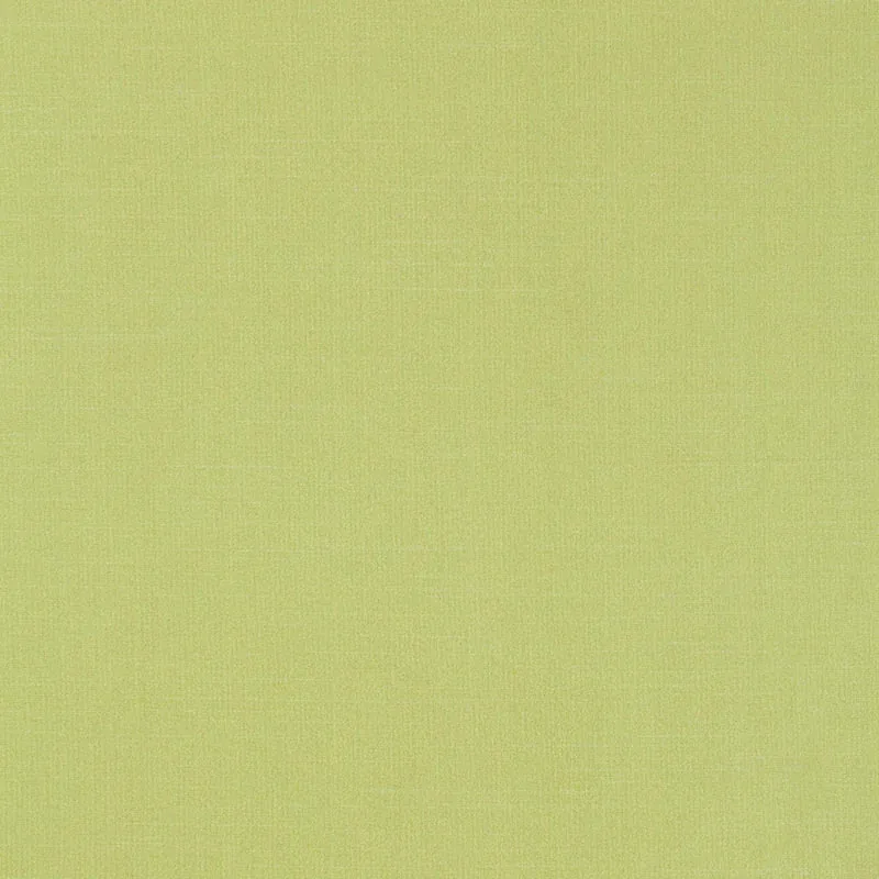 63866 | TIEPOLO SHANTUNG WEAVE – LIMEADE