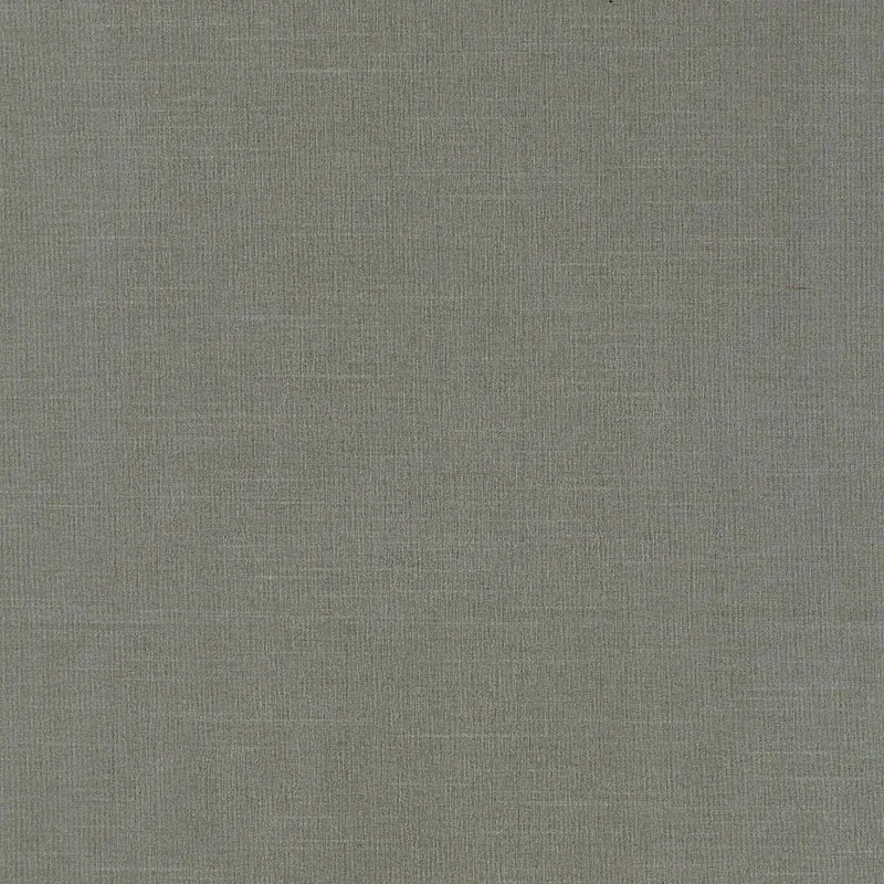 63869 | TIEPOLO SHANTUNG WEAVE – MINERAL