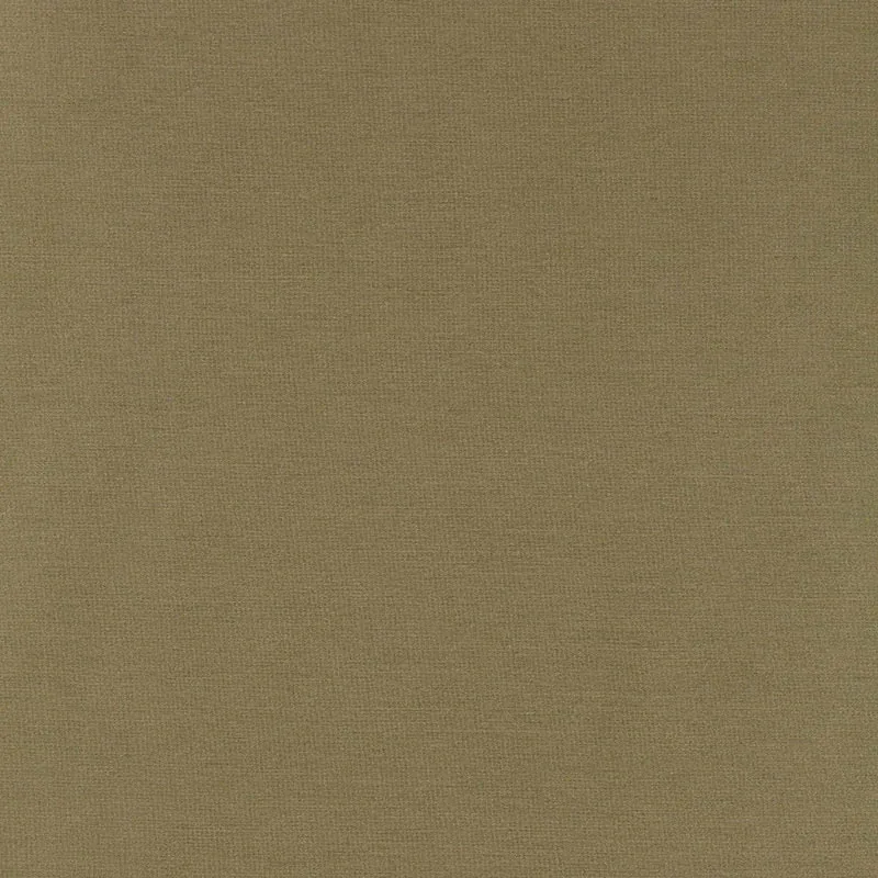 63867 | TIEPOLO SHANTUNG WEAVE – SAGE