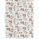 TOILE DE LA PRAIRIE fabric BROWN color by Schumacher