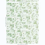 TOILE DE LA PRAIRIE fabric GREEN color by Schumacher