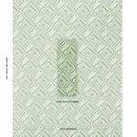 TOPSY TURVY fabric GREEN color by Schumacher