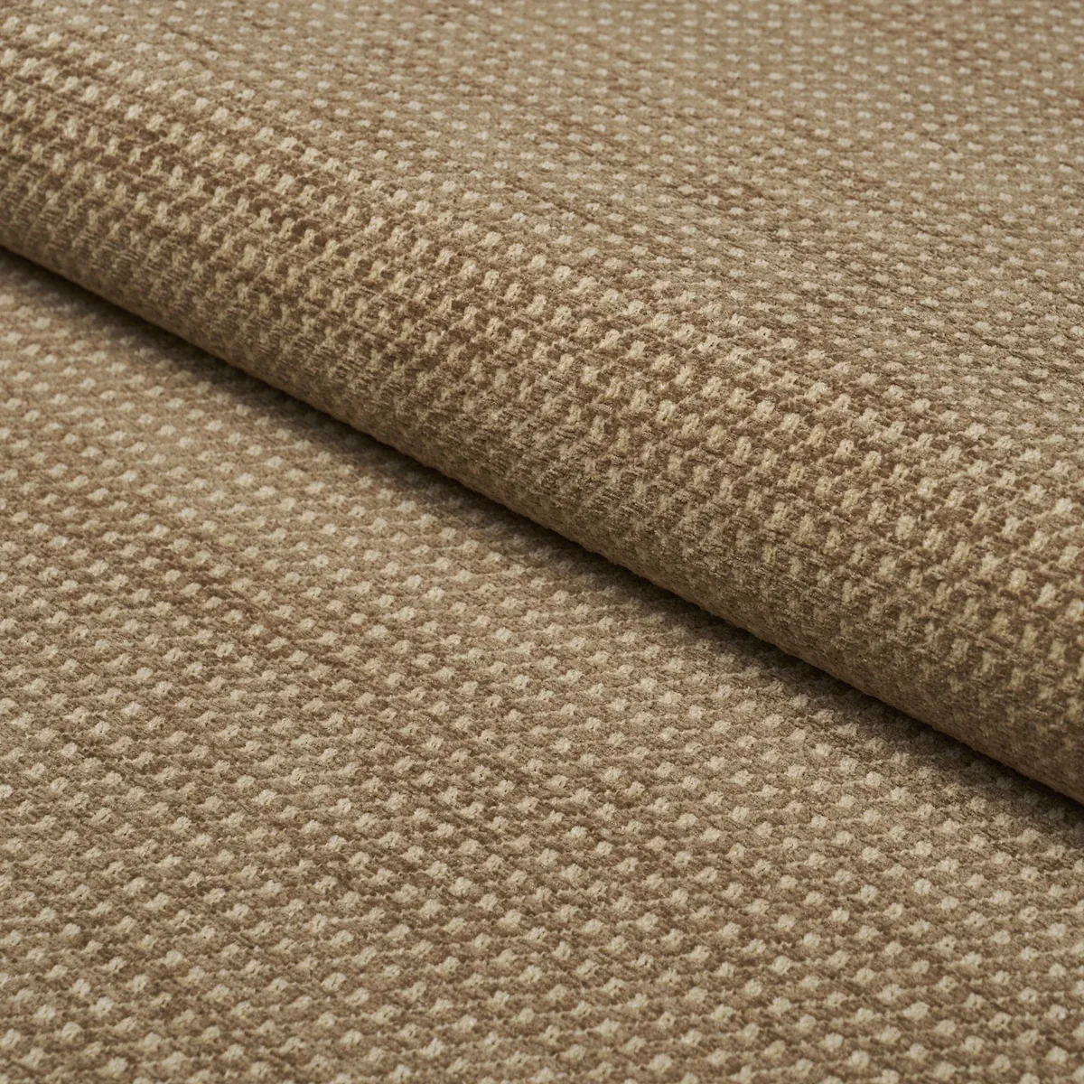 54374 | TOSCANA – CHAMOIS
