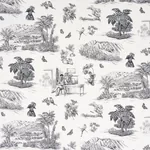 TOUSSAINT TOILE fabric BLACK color by Schumacher