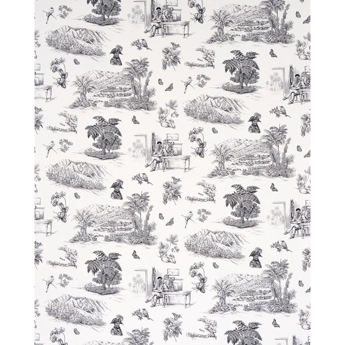 TOUSSAINT TOILE fabric BLACK color by Schumacher