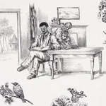 TOUSSAINT TOILE fabric BLACK color by Schumacher