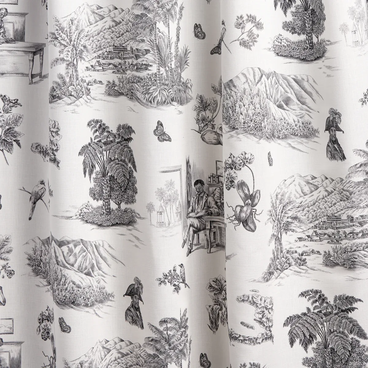 TOUSSAINT TOILE fabric BLACK color by Schumacher