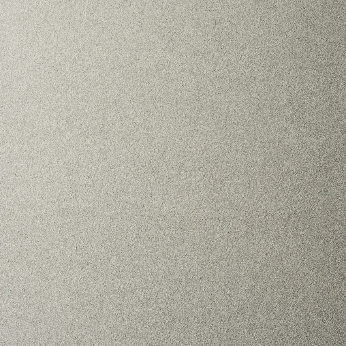 VEGAN SUEDE fabric DOVE color by Schumacher