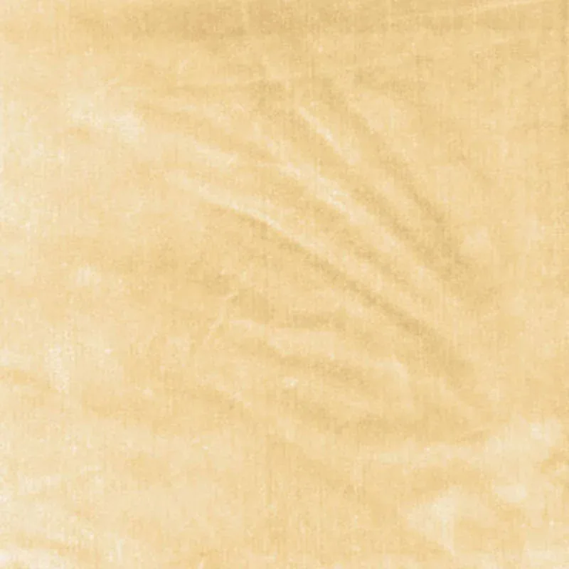 62730 | VENETIAN SILK VELVET – CHAMPAGNE