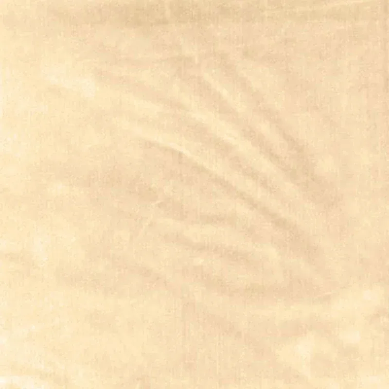 62731 | VENETIAN SILK VELVET – DOESKIN