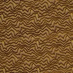 ZAMBEZI VELVET fabric BRONZE color by Schumacher