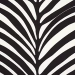 ZEBRA PALM fabric EBONY color by Schumacher