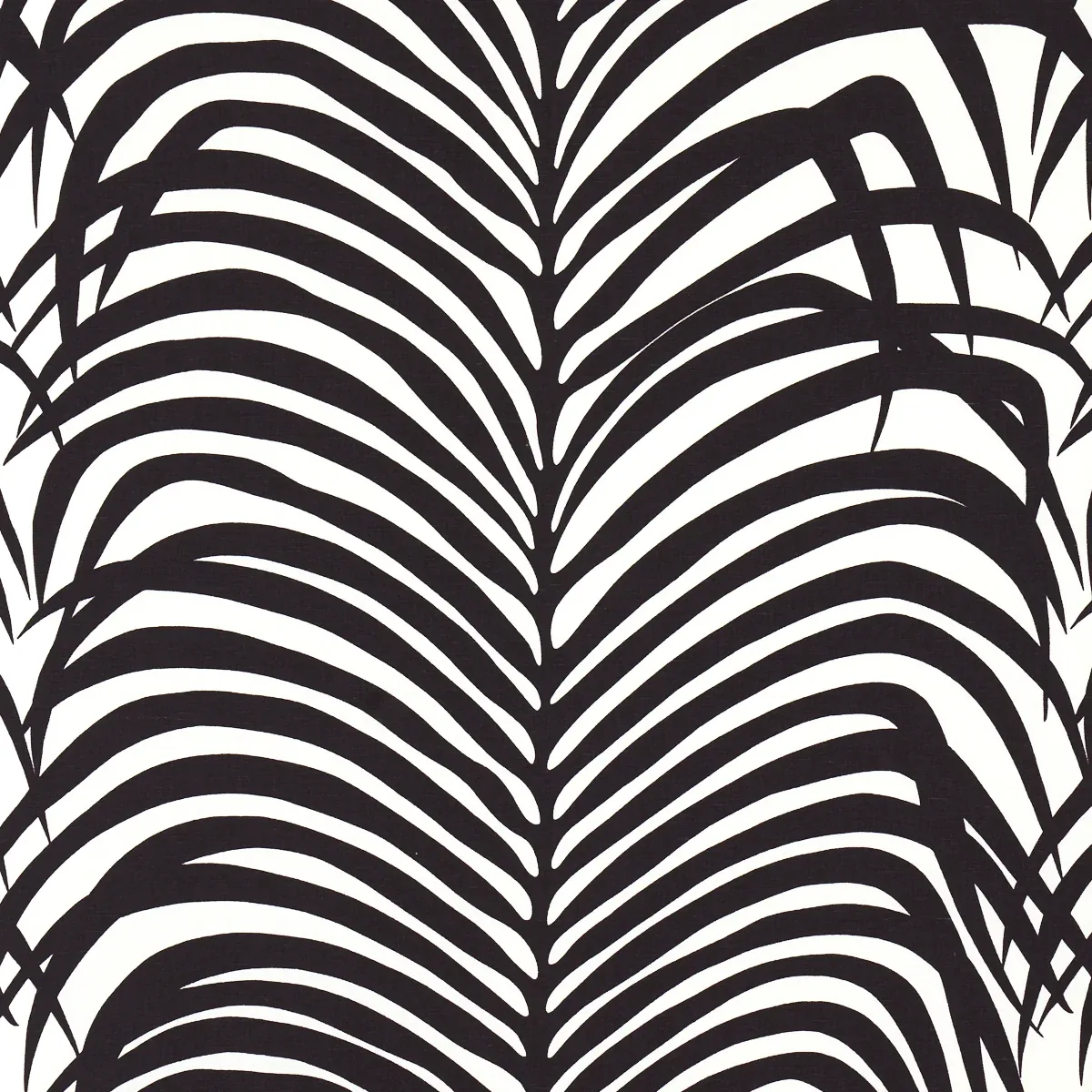 174872 | ZEBRA PALM – EBONY