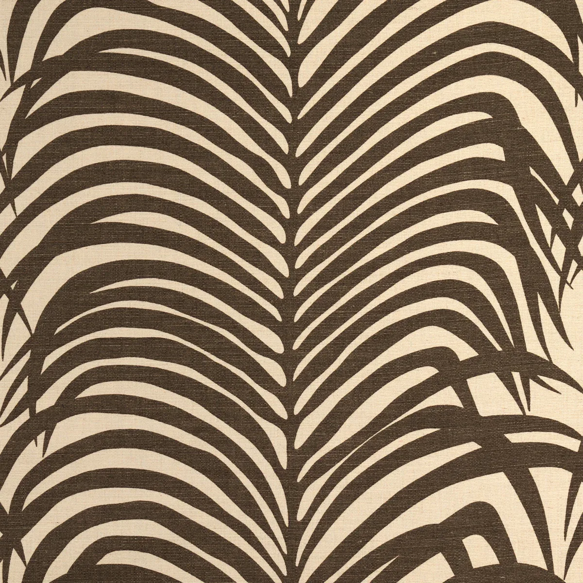 174970 | ZEBRA PALM – JAVA