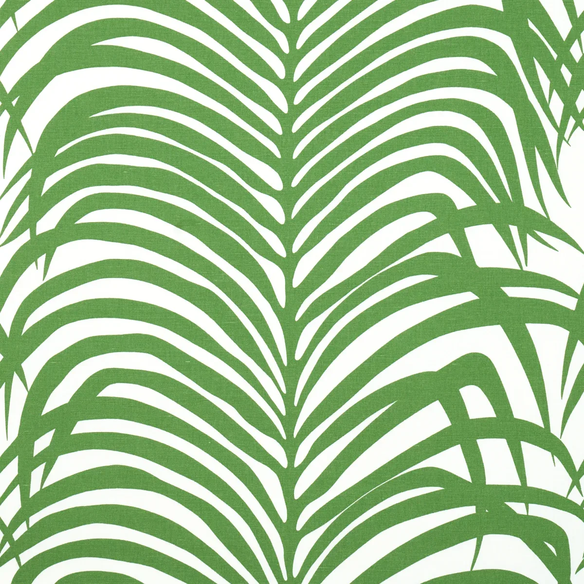 174871 | ZEBRA PALM – JUNGLE